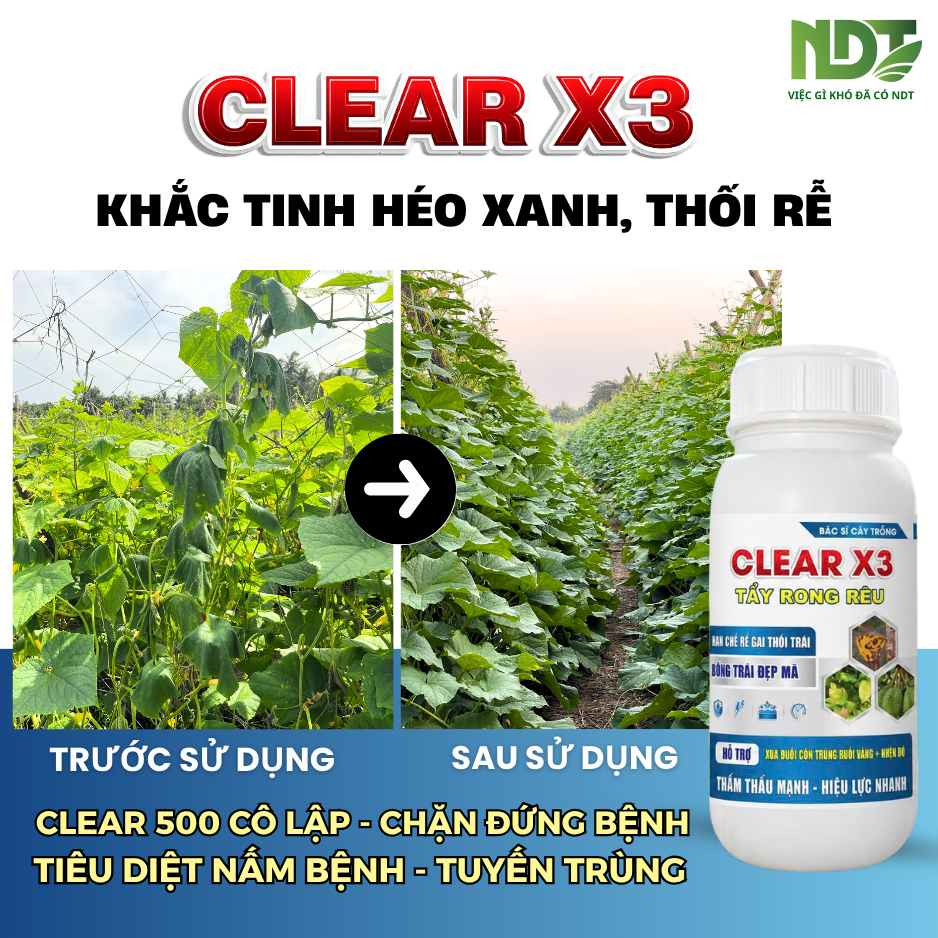 CLEAR X3_thumbnail_4