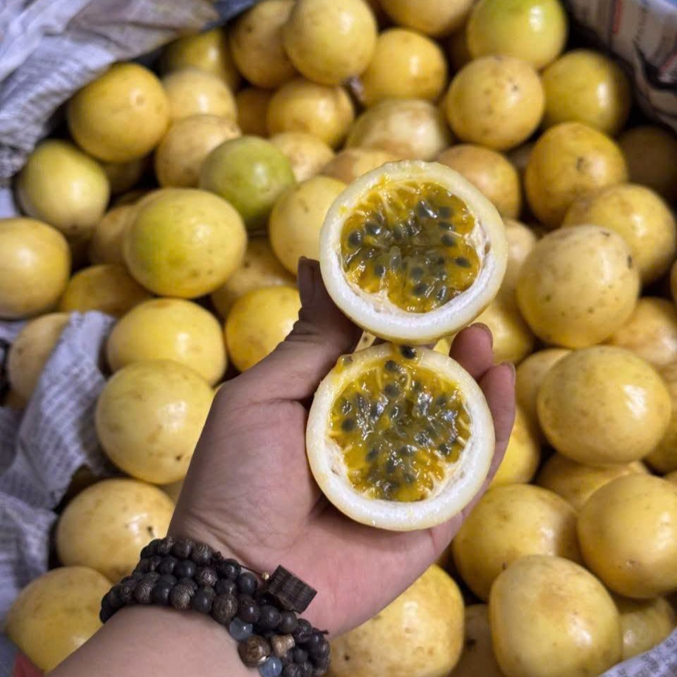 Chanh Dây Vàng_thumbnail_7