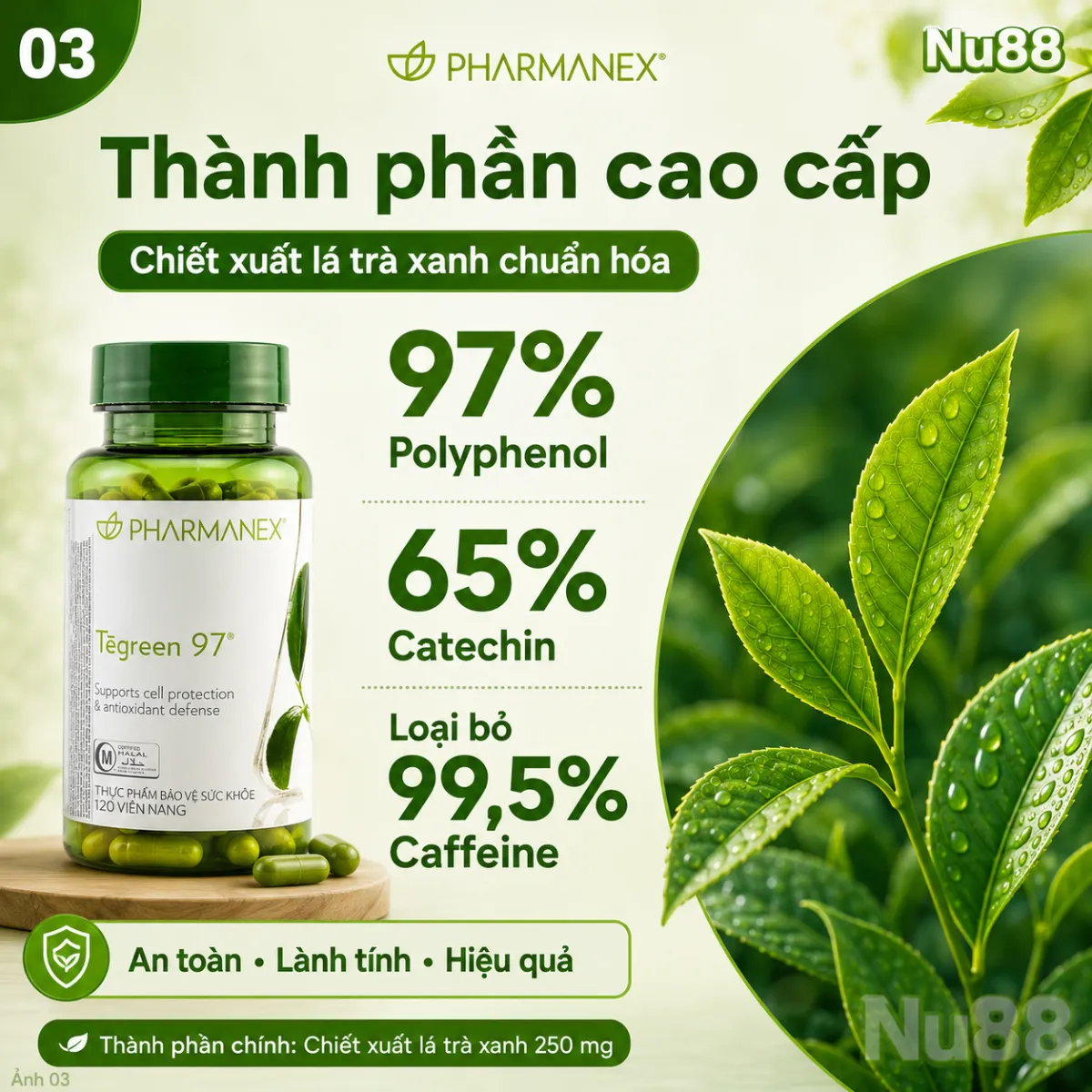 Thực phẩm bảo vệ sức khỏe Tegreen 97_thumbnail_16