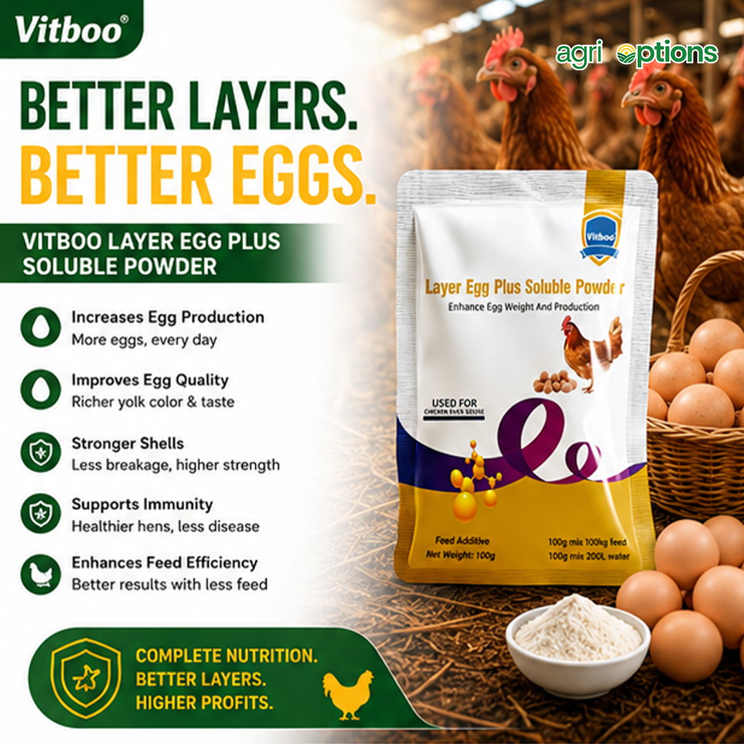 Layer Egg Plus Soluble Powder_thumbnail_1
