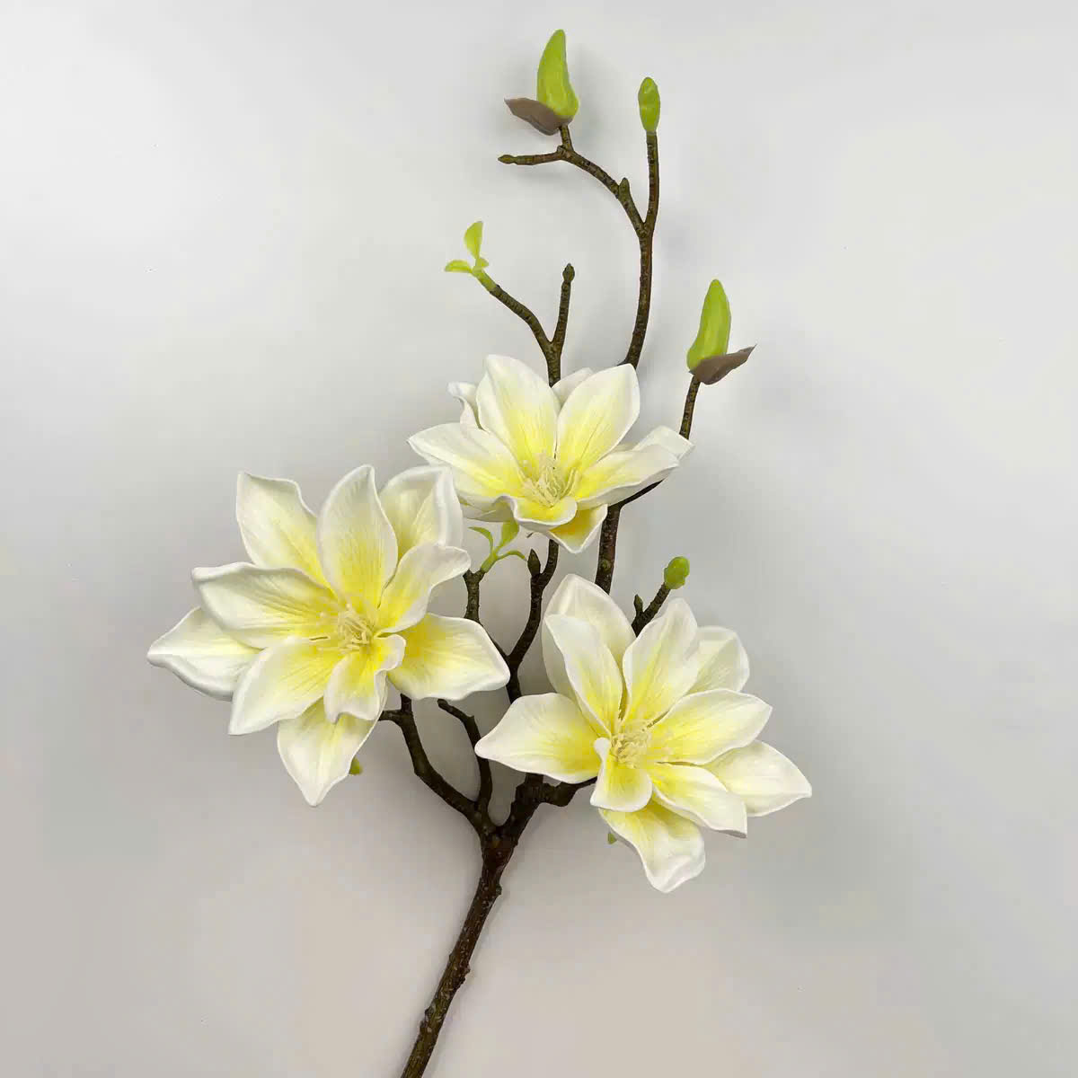 Mộc sao đủ màu 55k_thumbnail_2