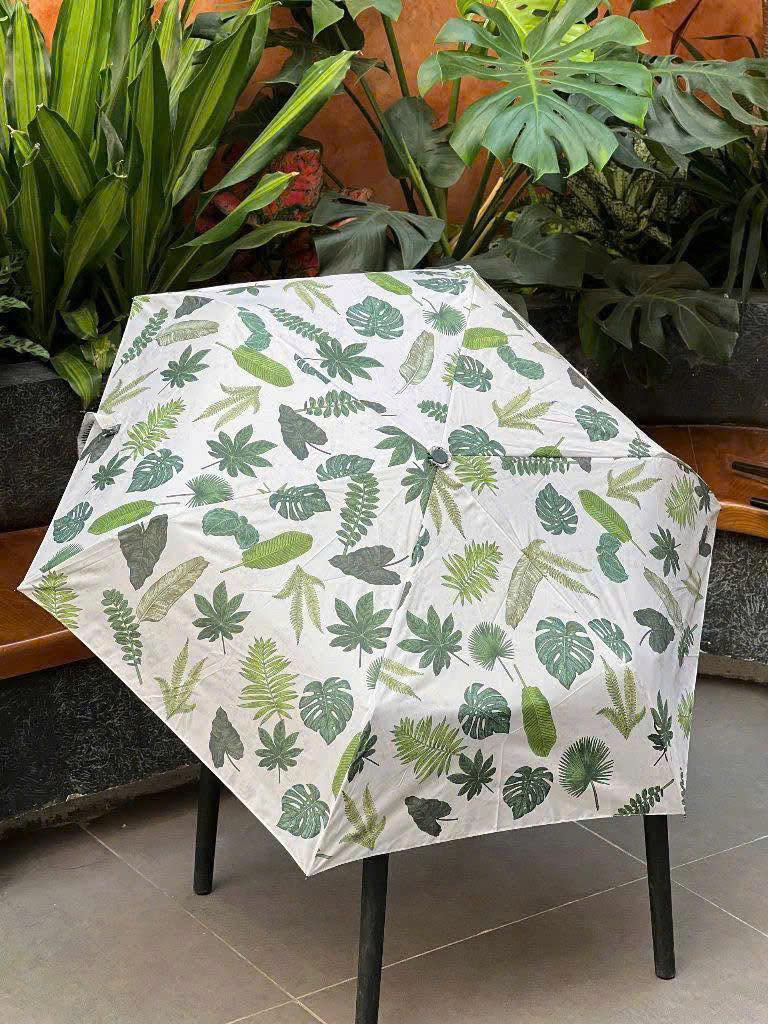 Ô GẤP GỌN 6 NAN KAIYO