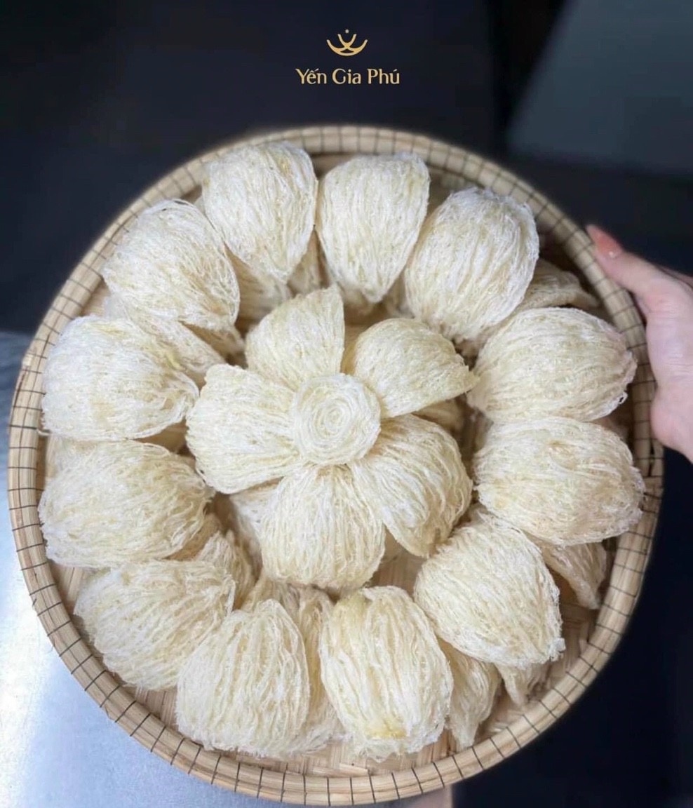 Yến Sào Việt Nam Có Gì Khác Yến Indonesia, Malaysia?