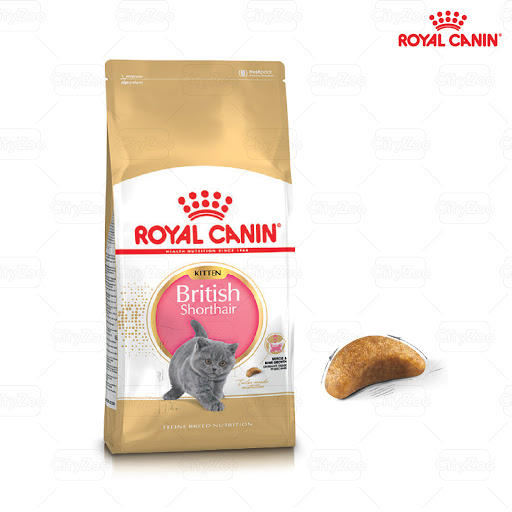 Thức ăn hạt cho mèo con Royal Canin British Shorthair Kitten