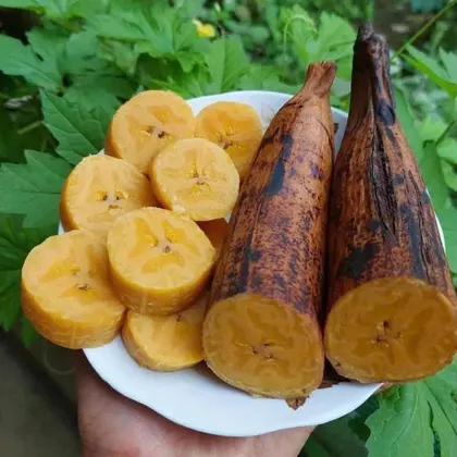 Chuối Tá Quạ_thumbnail_3