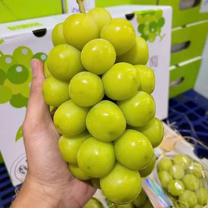 Nho Mẫu Đơn_thumbnail_2