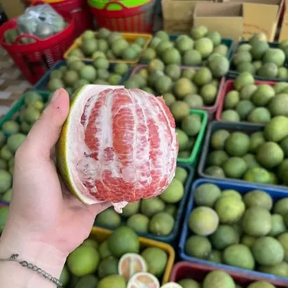 Bưởi Da Xanh