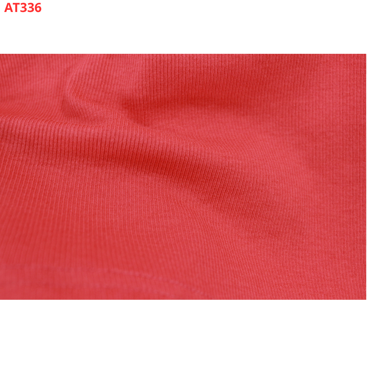 AT336- Áo thun TD nút_thumbnail_19