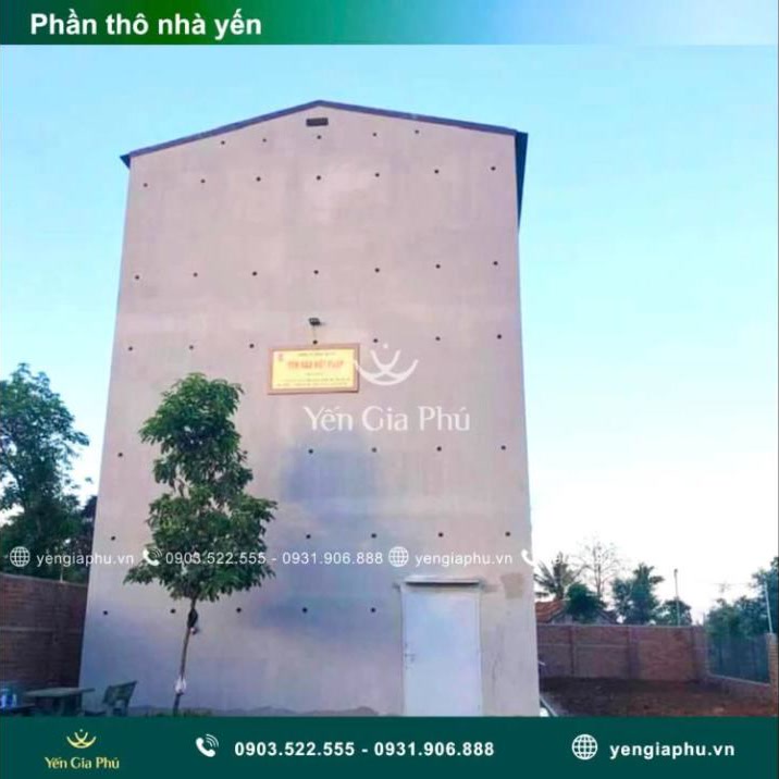 Chuỗi 3 nhà yến tại Krông Pắk, Đắk Lắk: từ căn đầu tiên đến thương hiệu yến riêng