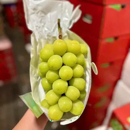 Nho Mẫu Đơn