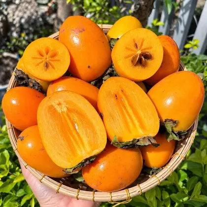 Hồng Giòn Quế Hương