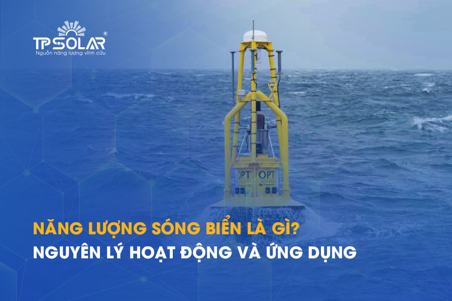 Năng lượng sóng biển là gì? Nguyên lý hoạt động và ứng dụng
