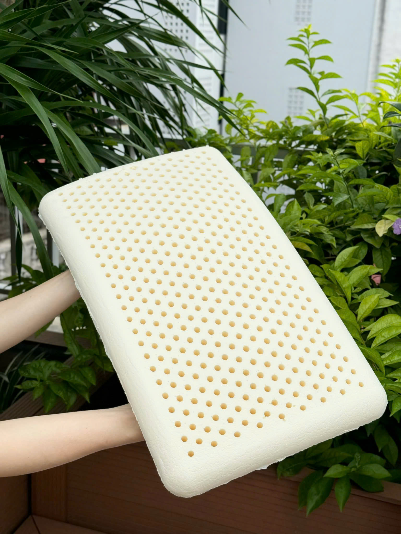 Gối Cao Su Tự Nhiên Kaiyo Dáng Thấp_thumbnail_6