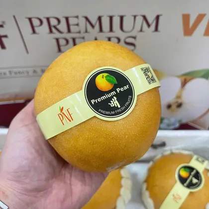 Lê Nâu