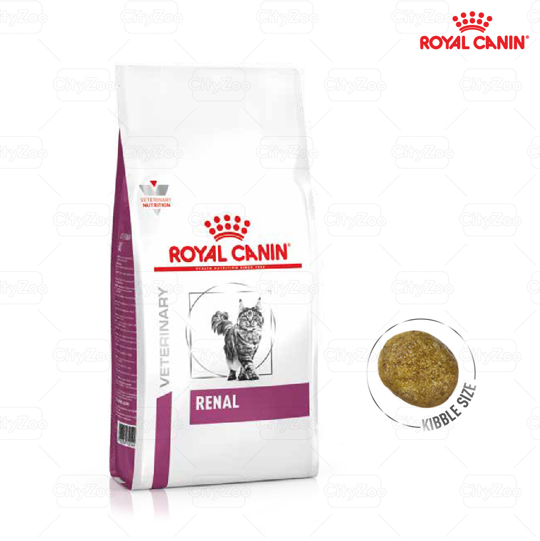 Royal Canin Renal Cat Hỗ Trợ Chức Năng Thận Cho Mèo