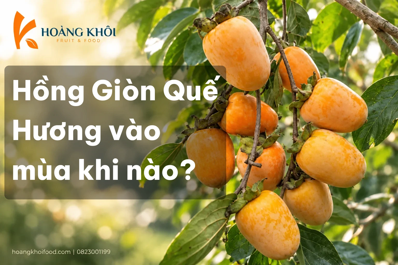 Hồng Giòn Quế Hương vào mùa khi nào?