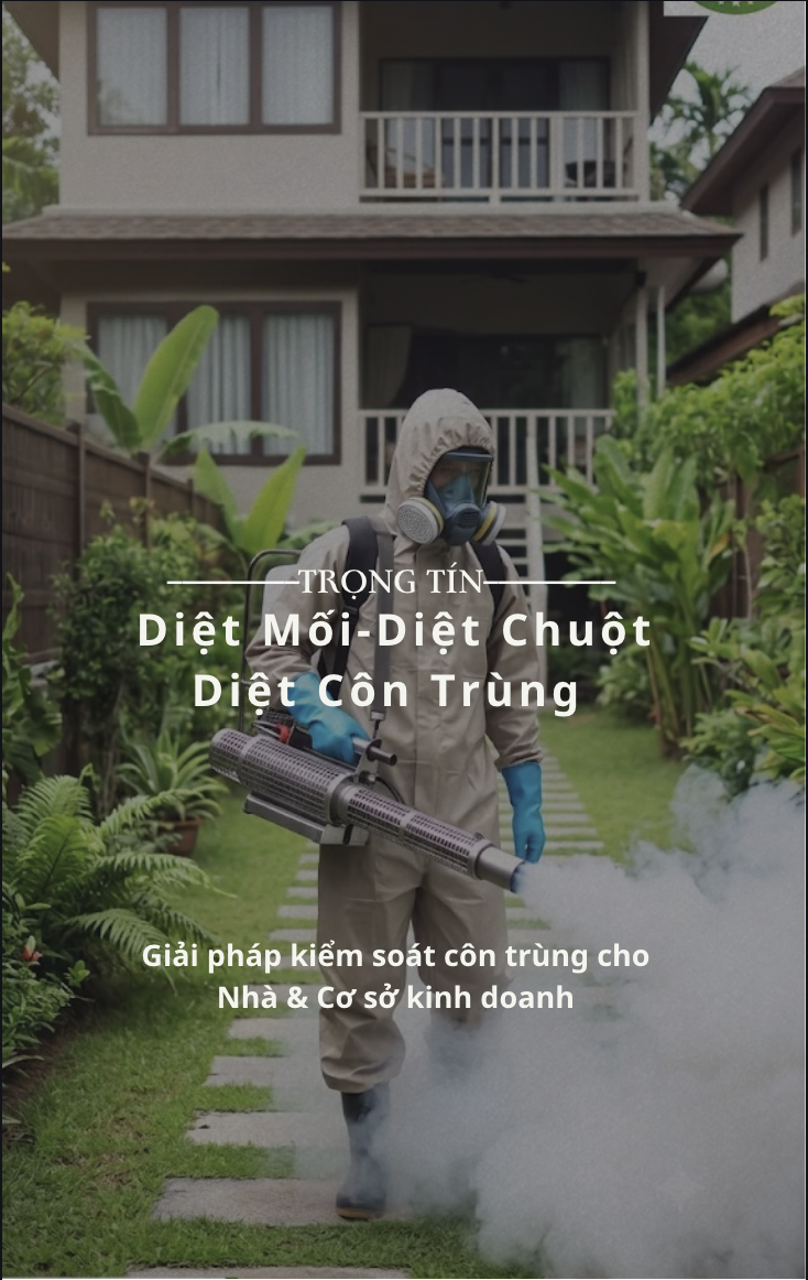 Ảnh màn hình 2026-10-15 lúc 21.24.42