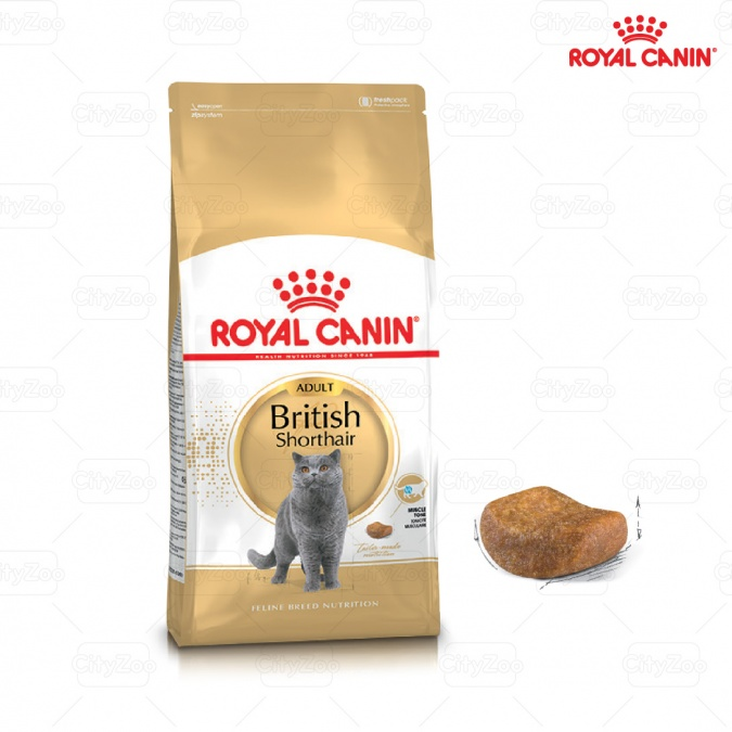 Thức ăn hạt cho mèo lớn Royal Canin British Shorthair Adults
