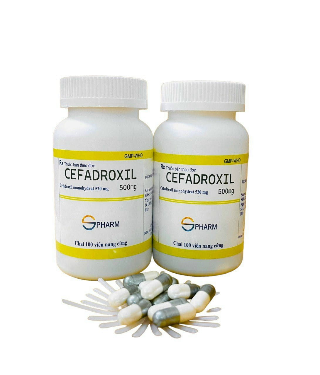 Cefadroxil 500 (C/100V) - STP