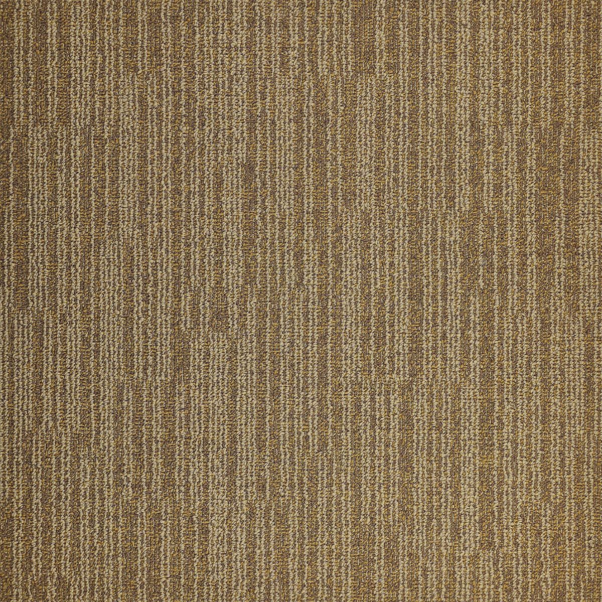 Thảm tấm AS-231