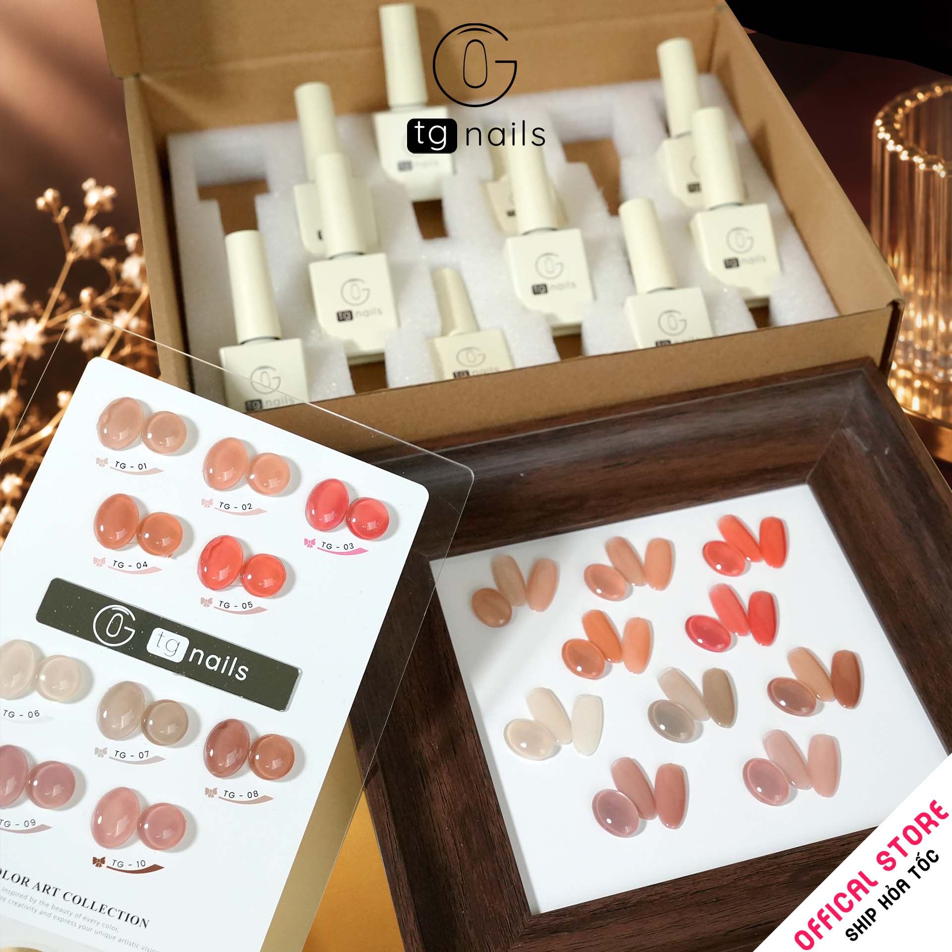Com Bo10 màu Thạch Nâu TG Nails Kèm bảng màu