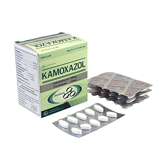 Kamoxazol (H/100V) - KHP