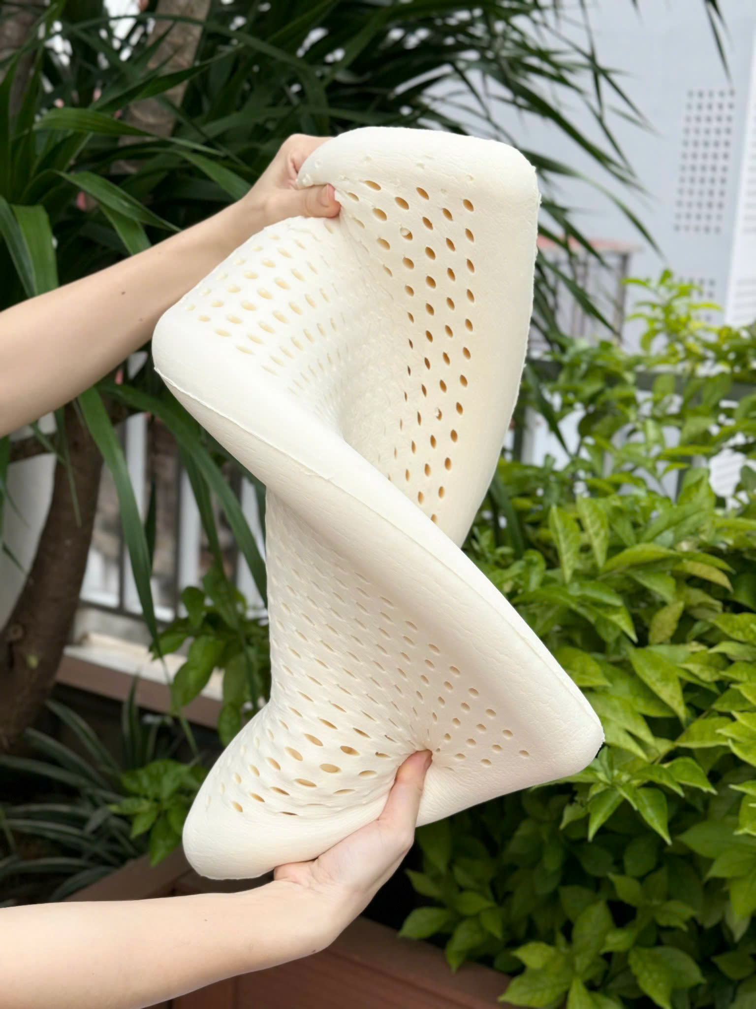 Gối Cao Su Tự Nhiên Kaiyo Dáng Thấp_thumbnail_7
