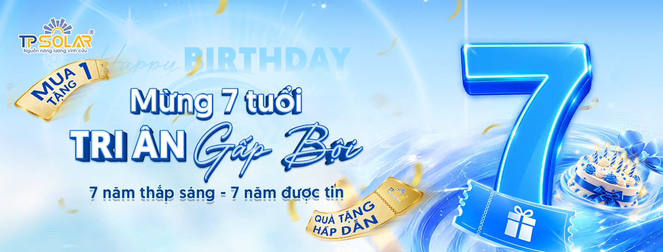 sinh nhat web