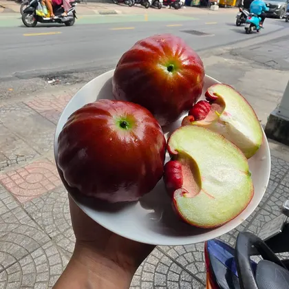 Mận Indo_thumbnail_1