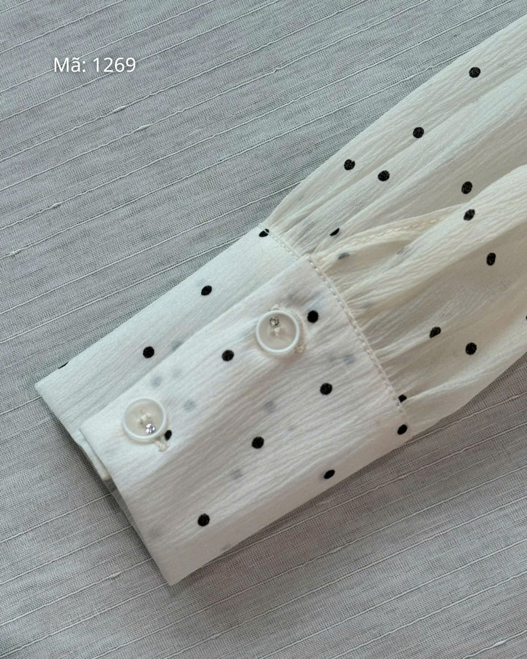 Áo PL Cổ Bèo Phối Chấm Bi_thumbnail_5