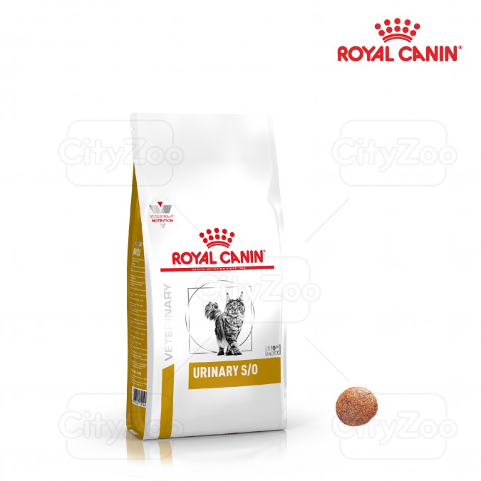 Thức ăn hạt cho mèo Royal Canin Urinary S/O Feline