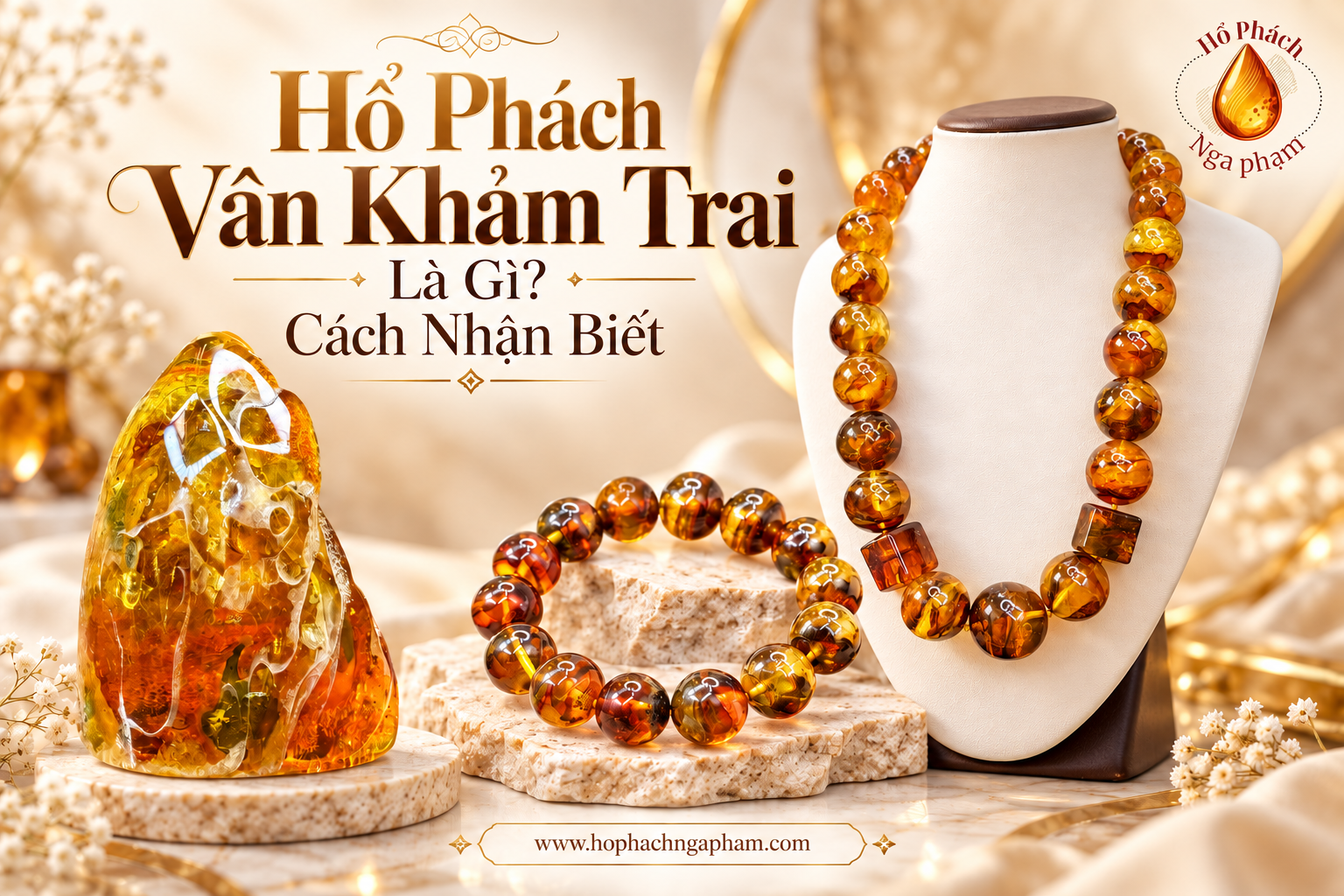 Hổ Phách Vân Khảm Trai Là Gì? Cách Nhận Biết