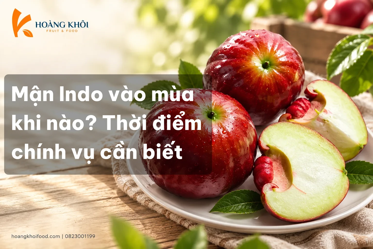 Mận Indo vào mùa khi nào? Thời điểm chính vụ cần biết
