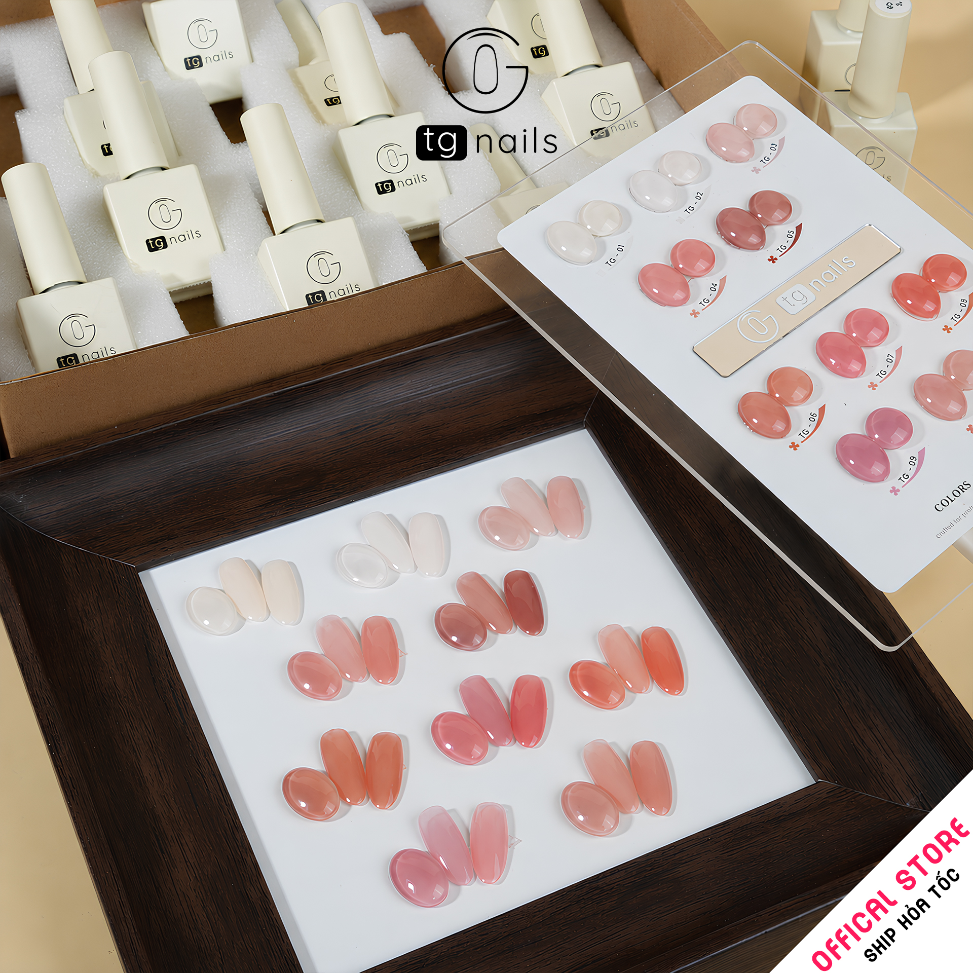 Com Bo 10 màu Thạch Nâu TG Nails kèm bảng màu_thumbnail_1