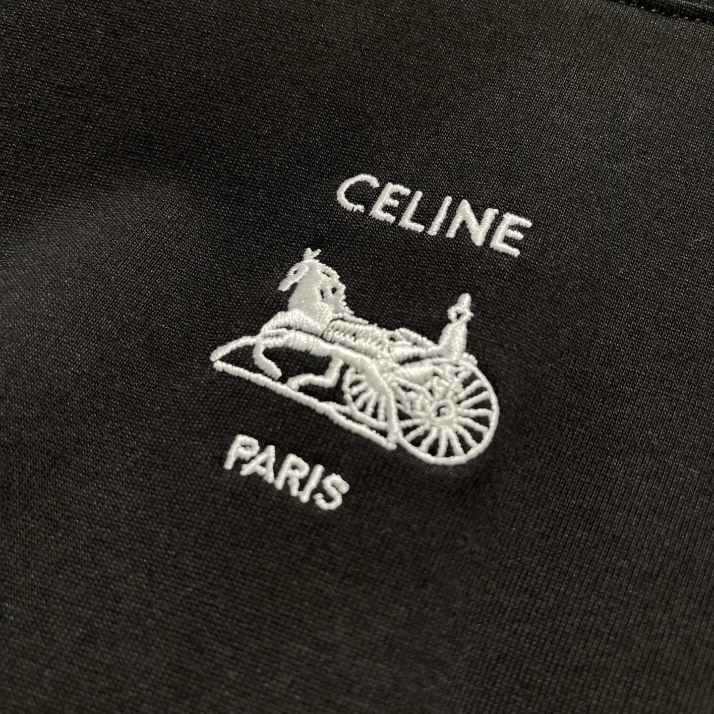 Ái Nỉ Celine_thumbnail_3