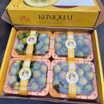 Kim Quất_thumbnail_0