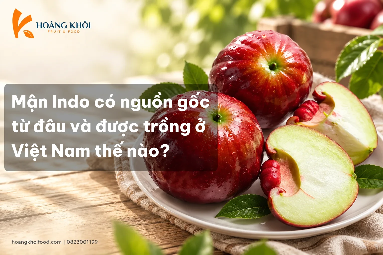 Mận Indo có nguồn gốc từ đâu và được trồng ở Việt Nam thế nào?