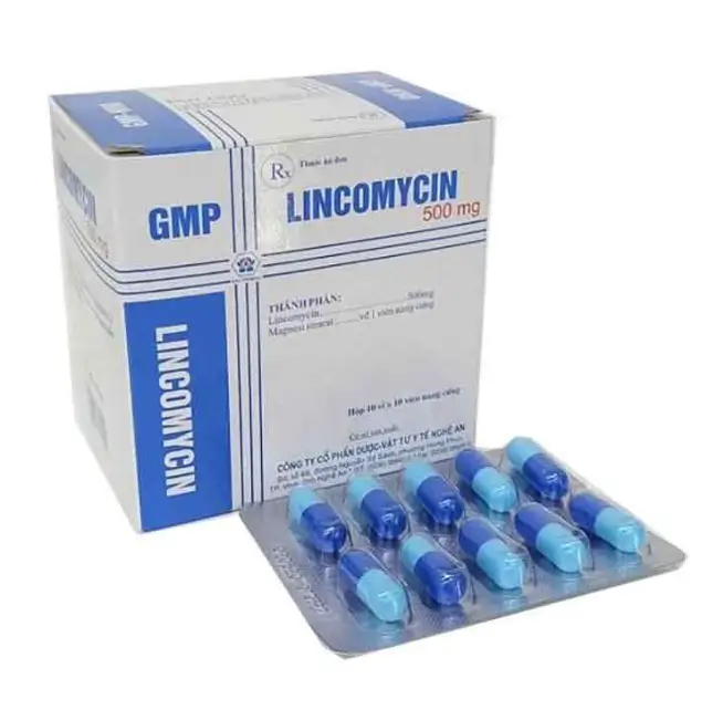 Lincomycin 500 (H/100V) - COP