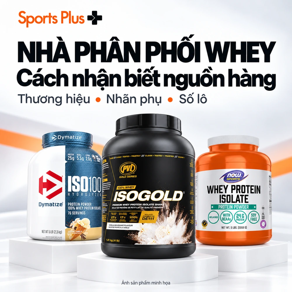 Nhà phân phối whey protein chính hãng tại Việt Nam: cách nhận biết và danh mục Sports Plus phân phối