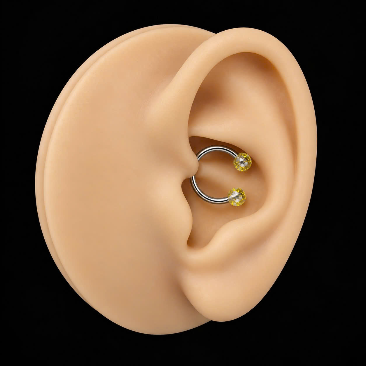 Septum trong kim tuyến vàng.
