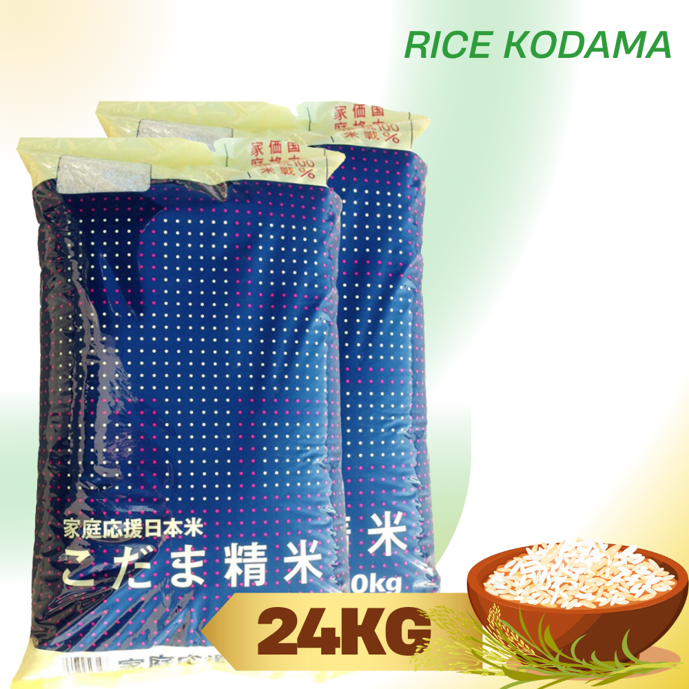 Rice Kodama