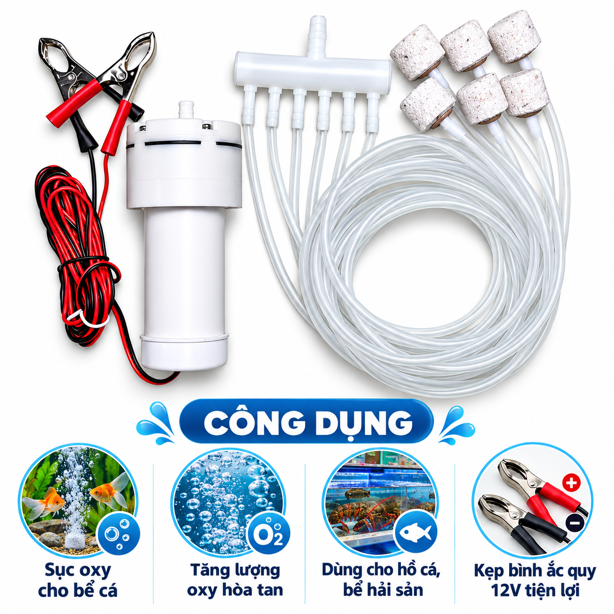 Sục oxy kẹp bình 12V, 220V cho bể cá, máy sục khí sủi oxi_thumbnail_2