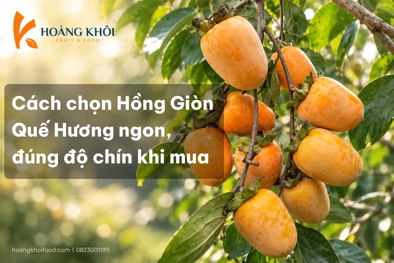 Cách chọn Hồng Giòn Quế Hương ngon, đúng độ chín khi mua