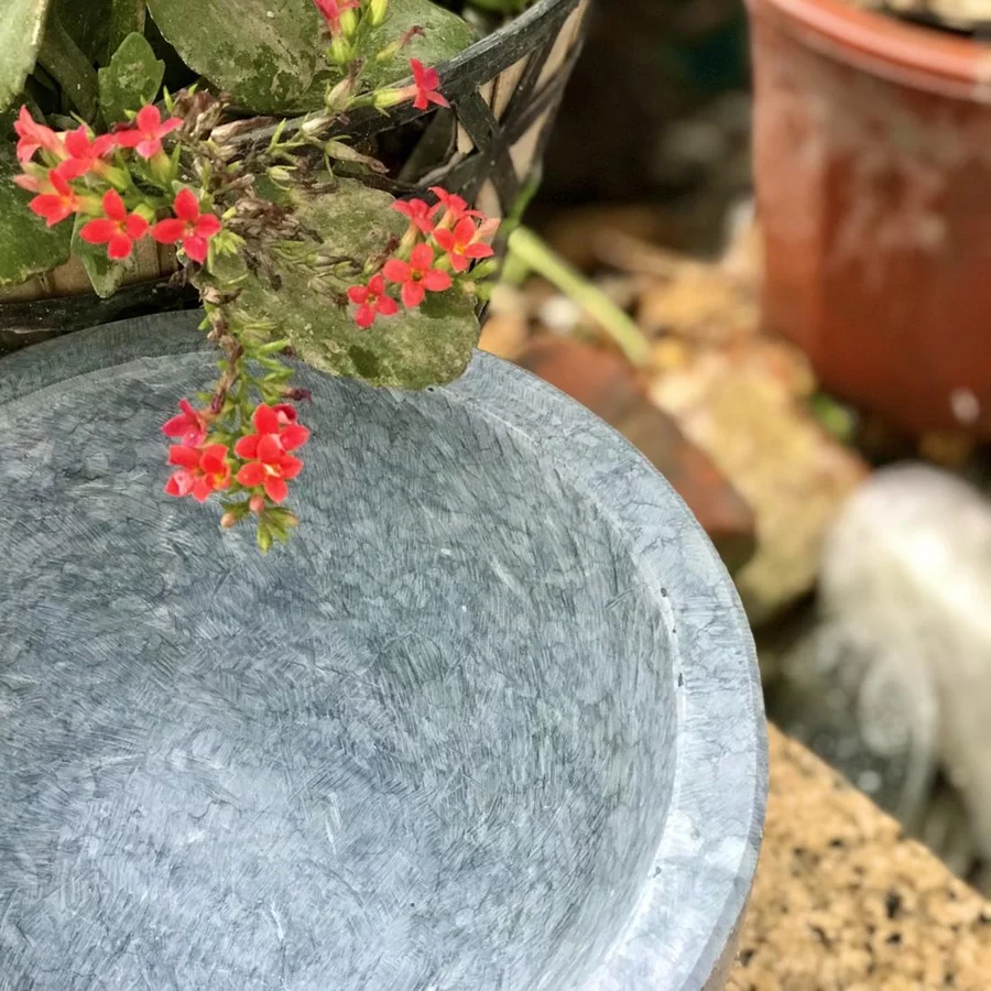 Vân đá trong lòng cối
