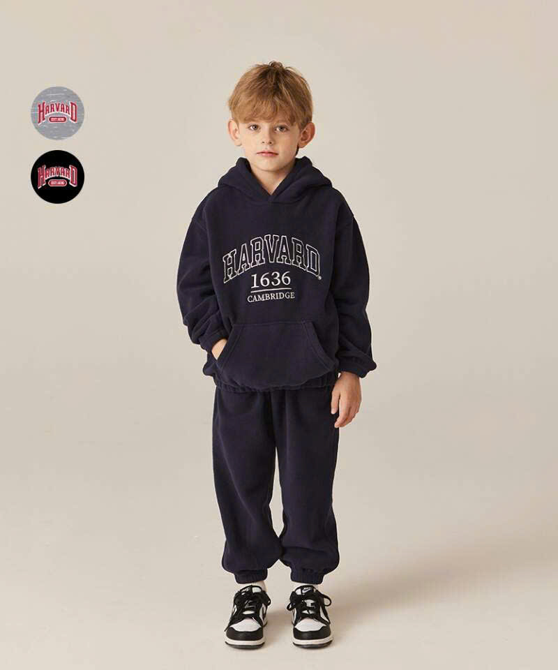 B301 BO BE HAẢVARD (L20-3)_thumbnail_3