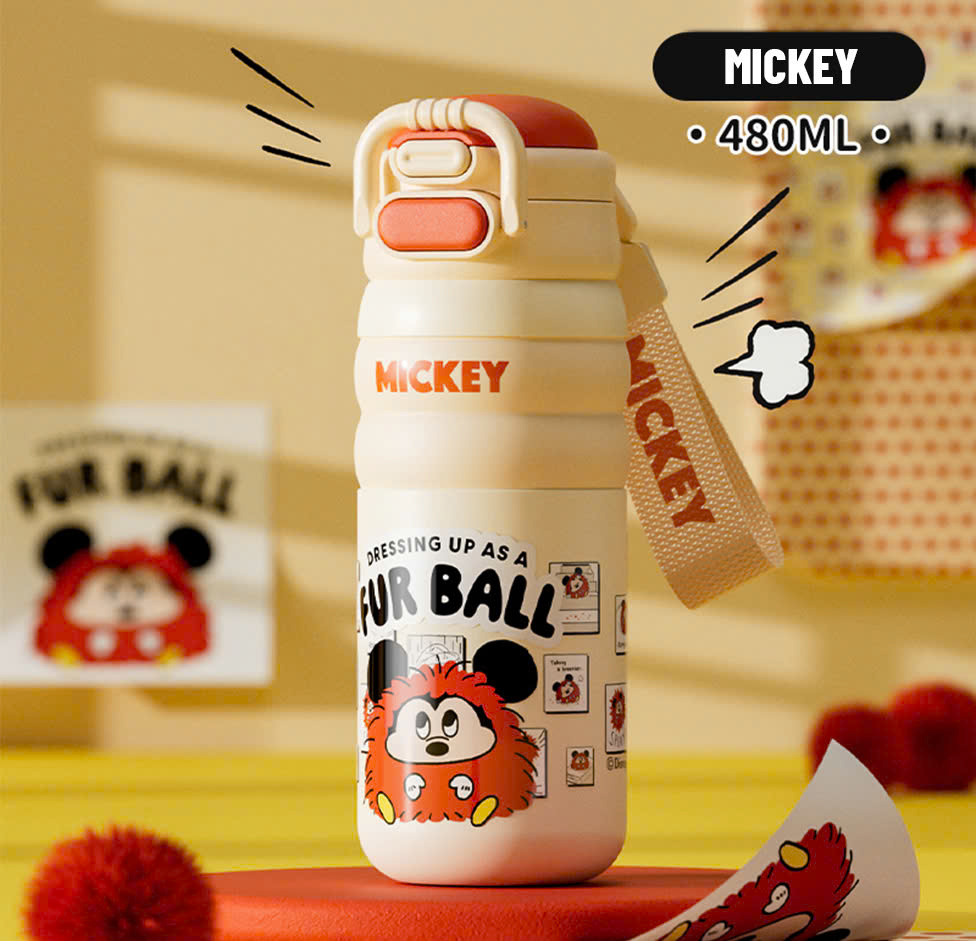 Bình Nước Giữ Nhiệt DISNEY 480ML_thumbnail_0