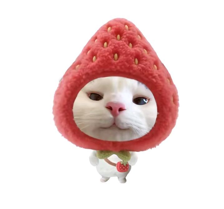 b868e72392198ad8df2e98712f9384db