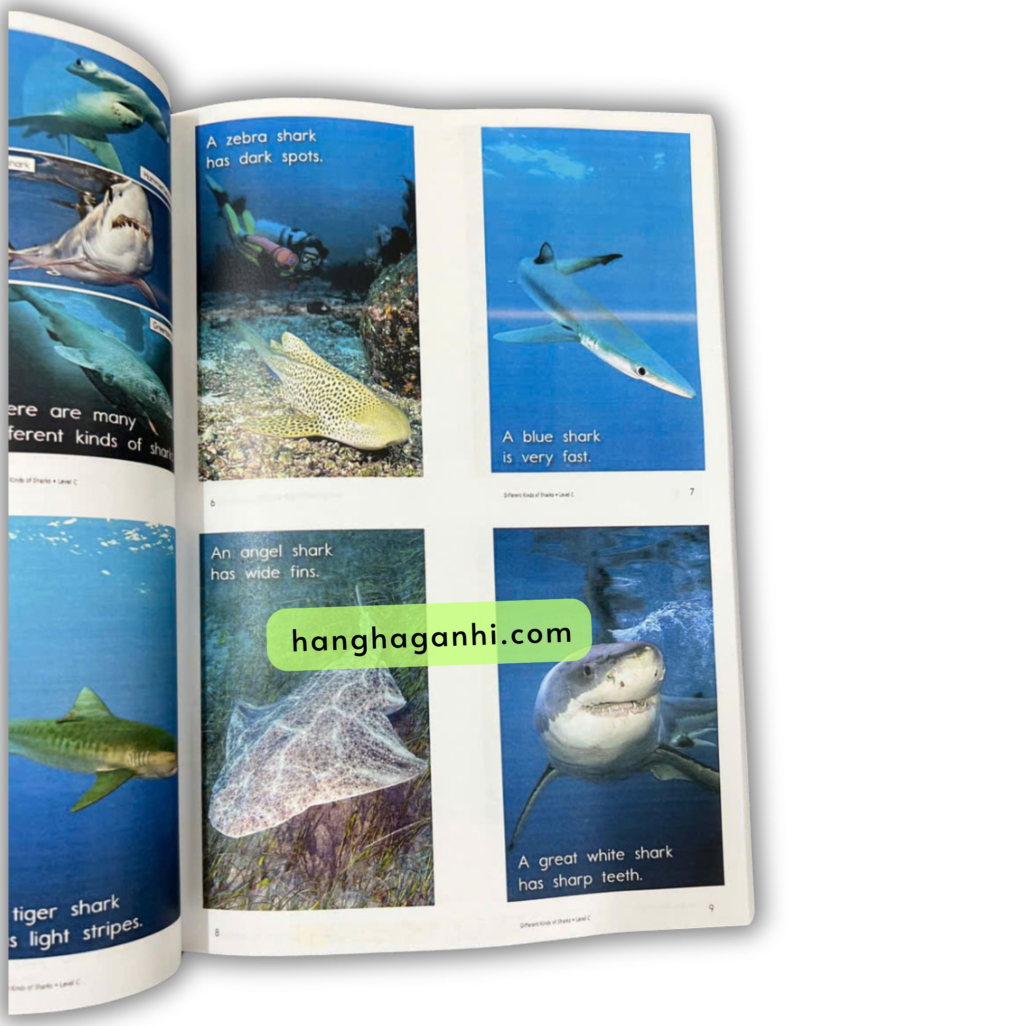 RAZKIDS Level C - Bản in gộp A4_thumbnail_3