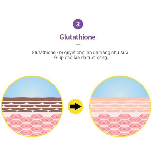 Tinh Chất Cao Cấp Dưỡng Ẩm, Làm Trắng Da Chuyên Sâu Elravie Cell Brightening Ampoule Hộp 12 Lọ x 6ml_thumbnail_6