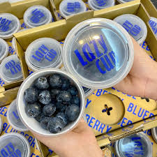 Việt quất_thumbnail_2